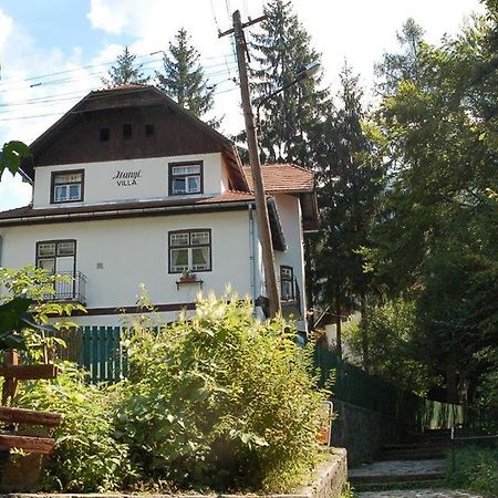 Manyi Villa BaileTusnad Ngoại thất bức ảnh