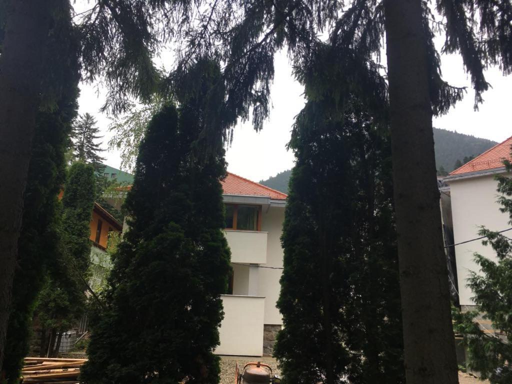 Manyi Villa BaileTusnad Ngoại thất bức ảnh