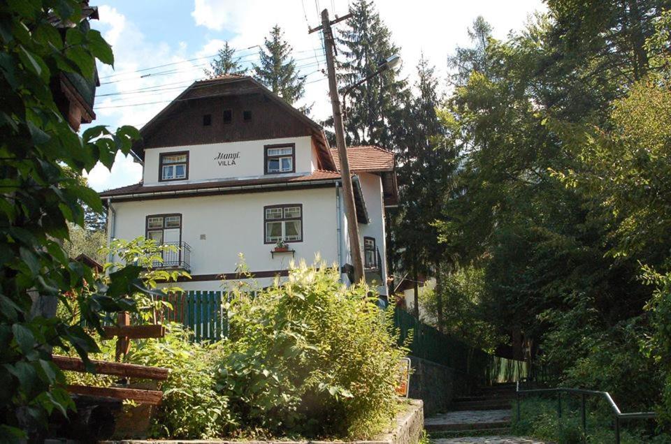 Manyi Villa BaileTusnad Ngoại thất bức ảnh