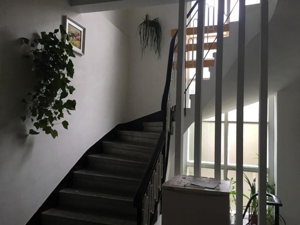 Manyi Villa BaileTusnad Ngoại thất bức ảnh